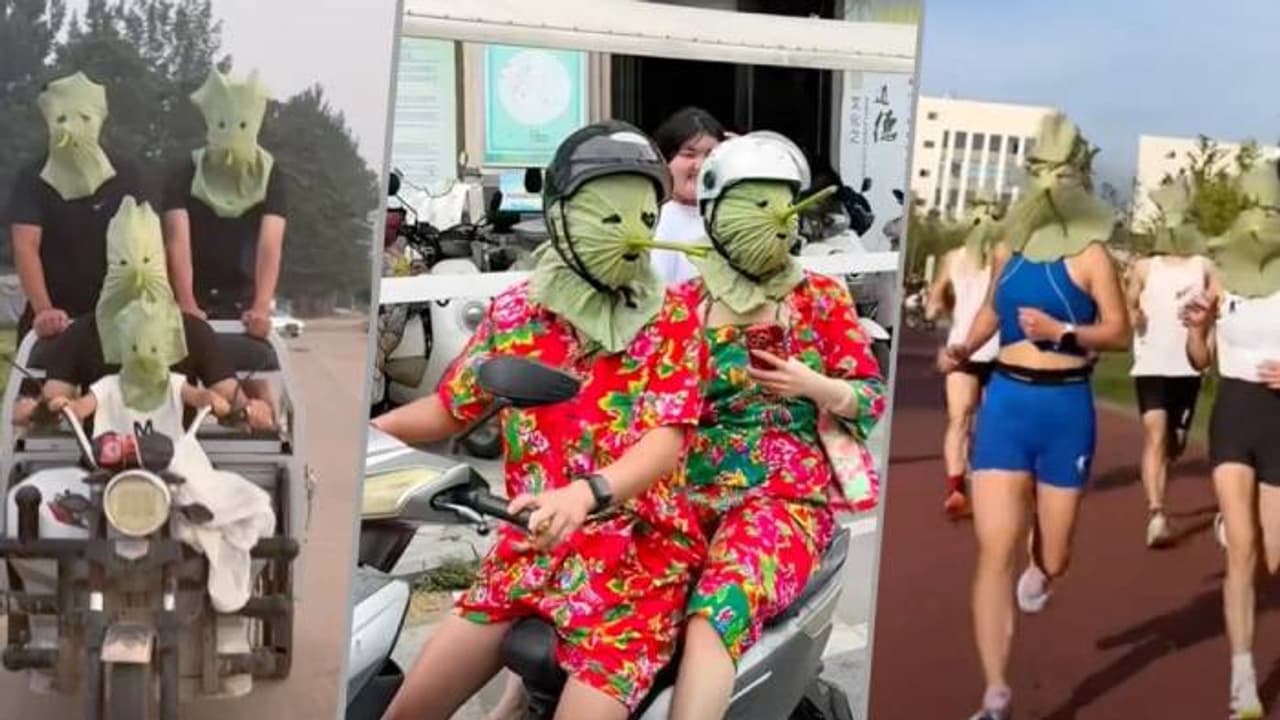 sun protection masks from lotus leaves sun protection masks from lotus leaves