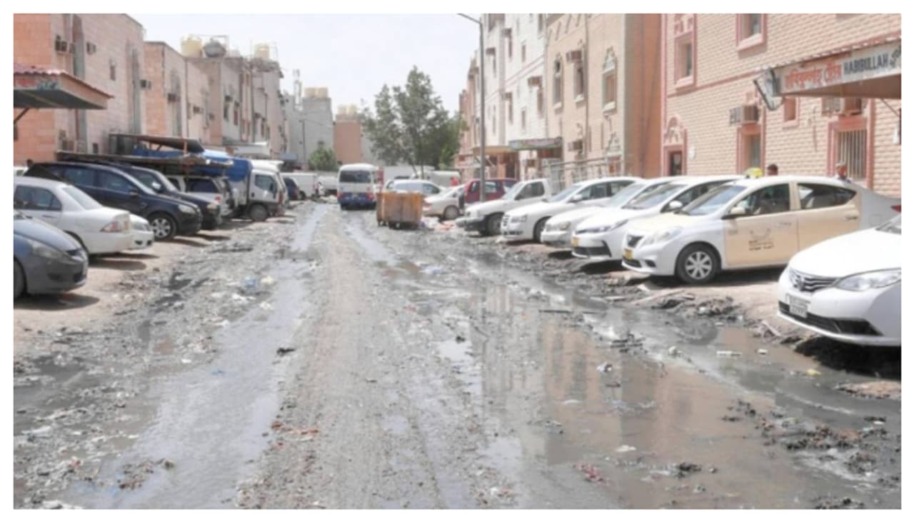 Jleeb Al Shuyoukh Jleeb Al Shuyoukh