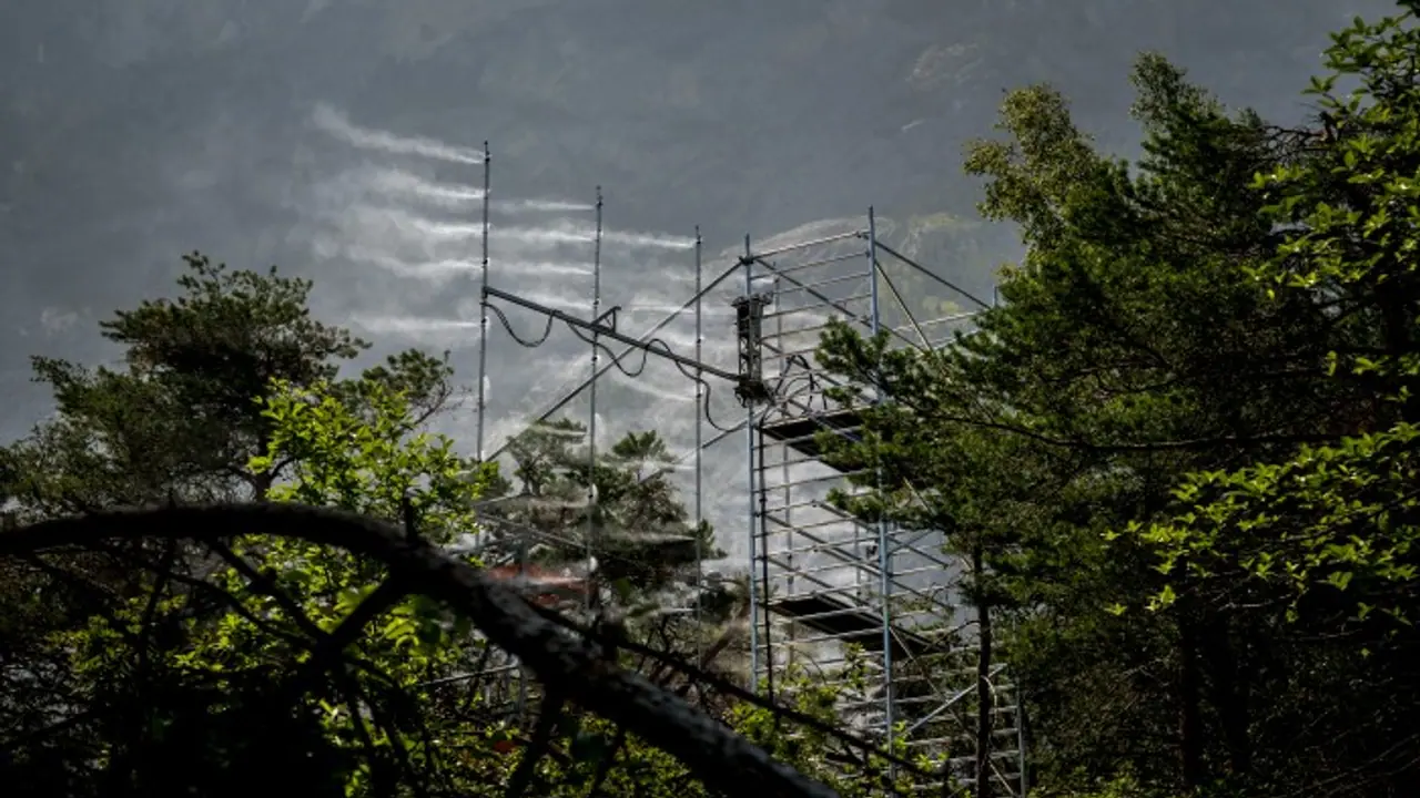In a Swiss pine forest, the treetops are being sprayed with mist 