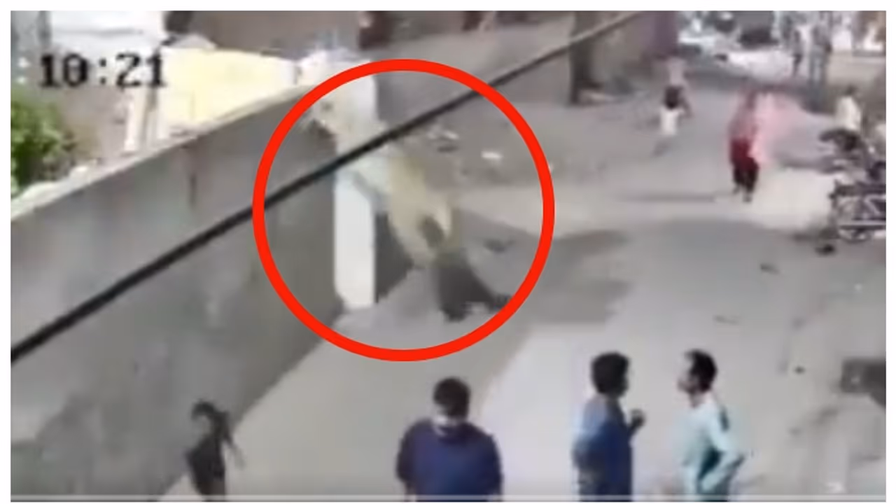 lion attacked a woman and two children in Lahore