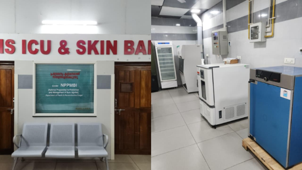 skin bank skin bank