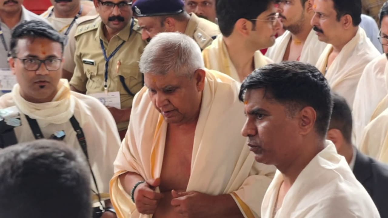 vice president vice president