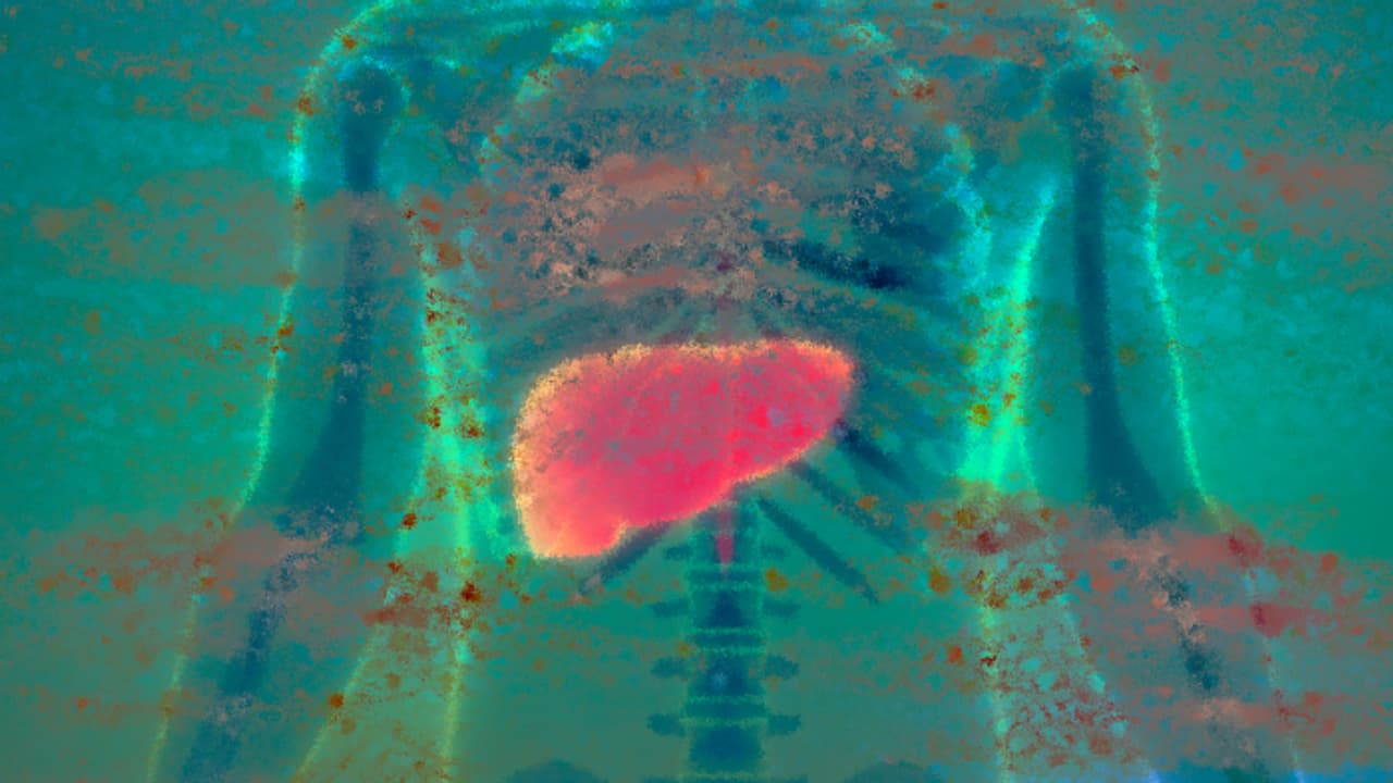 liver health liver health