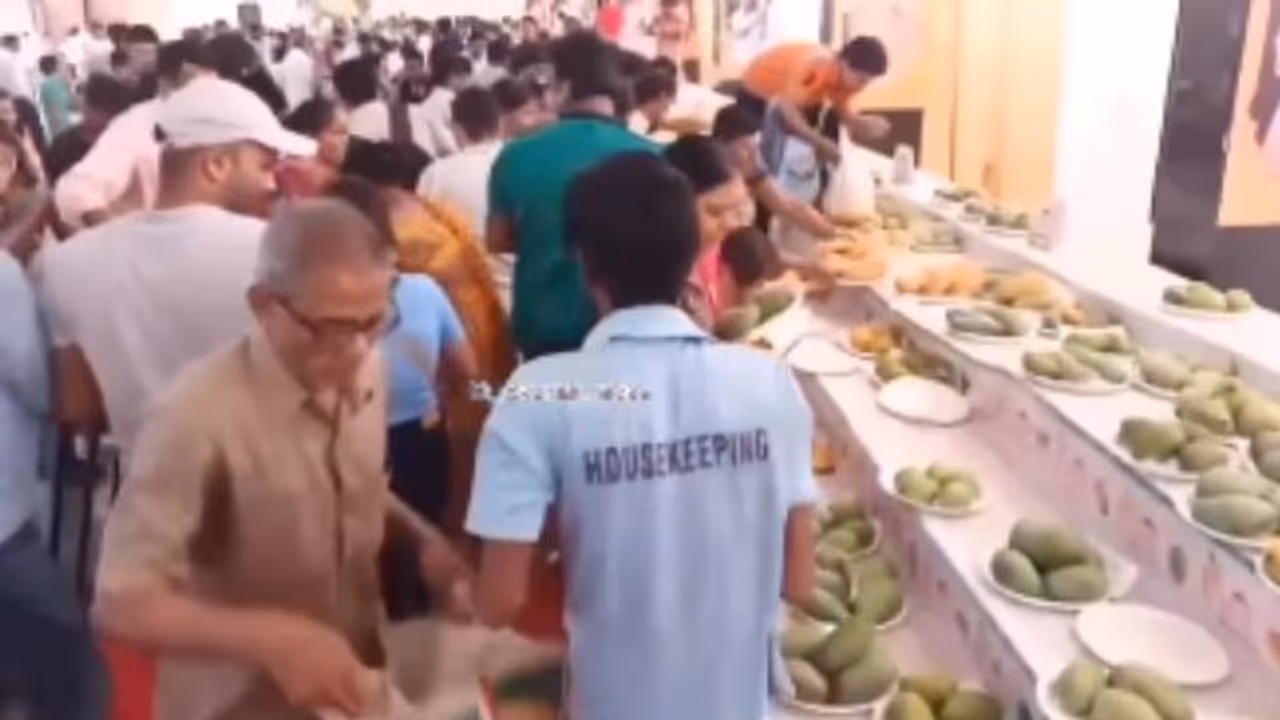 mango festival