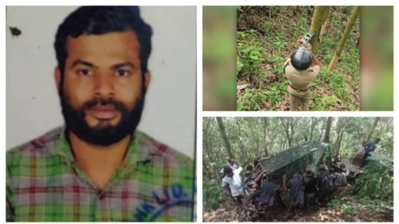 gafoor ali tiger death