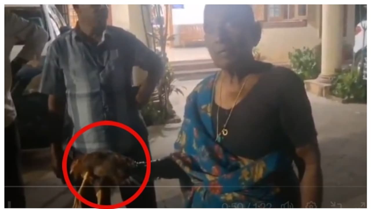 Elderly woman demanded justice against neighbour attackes her hen Elderly woman demanded justice against neighbour attackes her hen