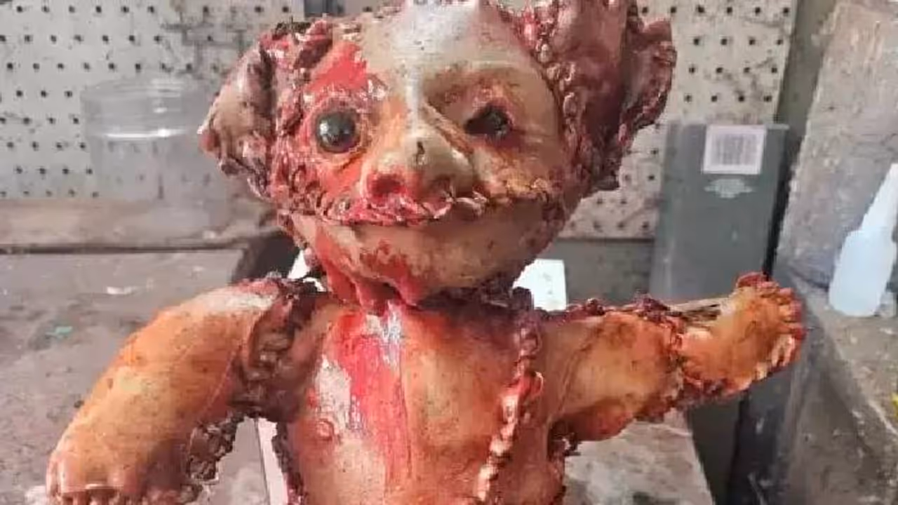 teddy bear teddy bear