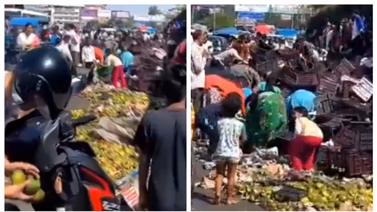 truck carrying mangoes overturned truck carrying mangoes overturned