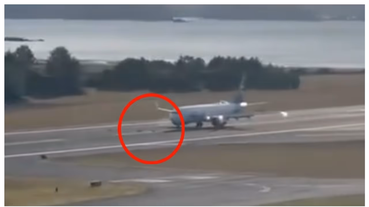 While landing in Alaska the plane hit multiple deer