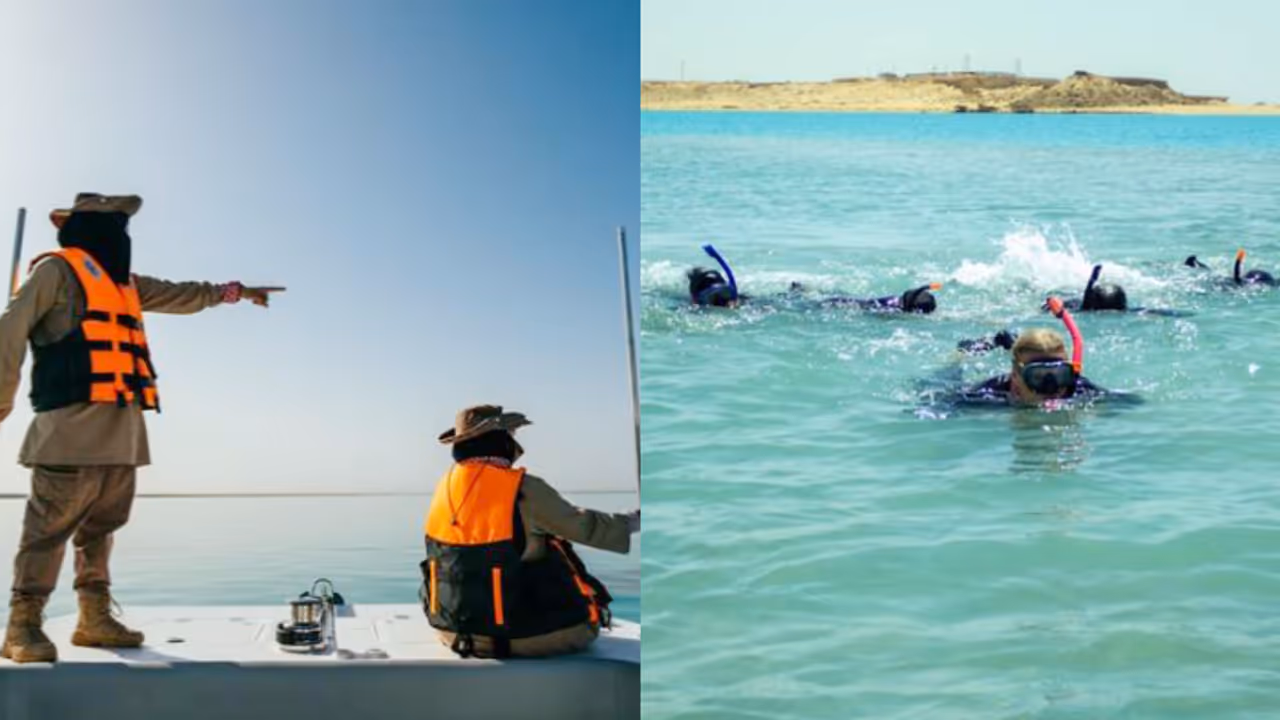female sea ranger corps female sea ranger corps