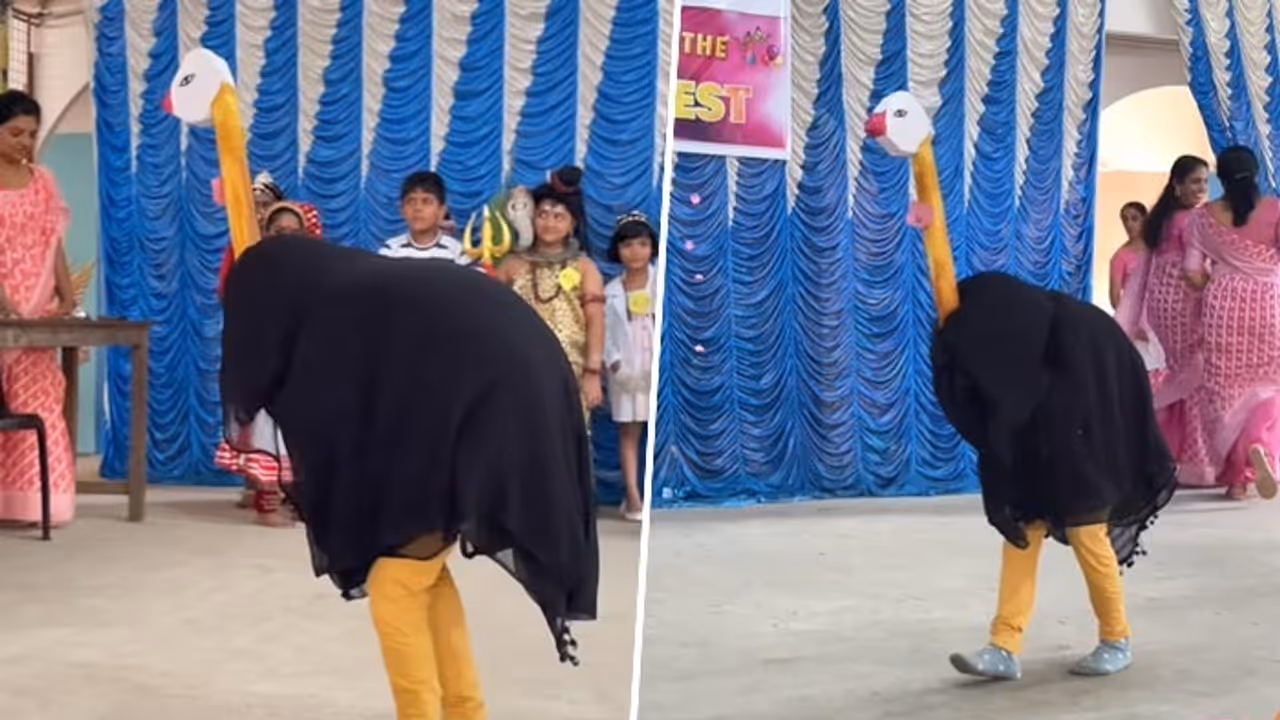 viral ostrich video viral ostrich video