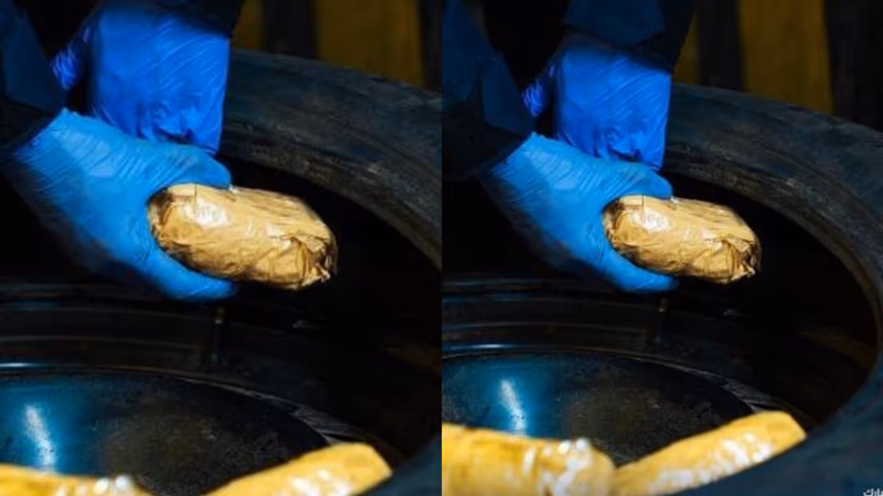 drugs seized drugs seized