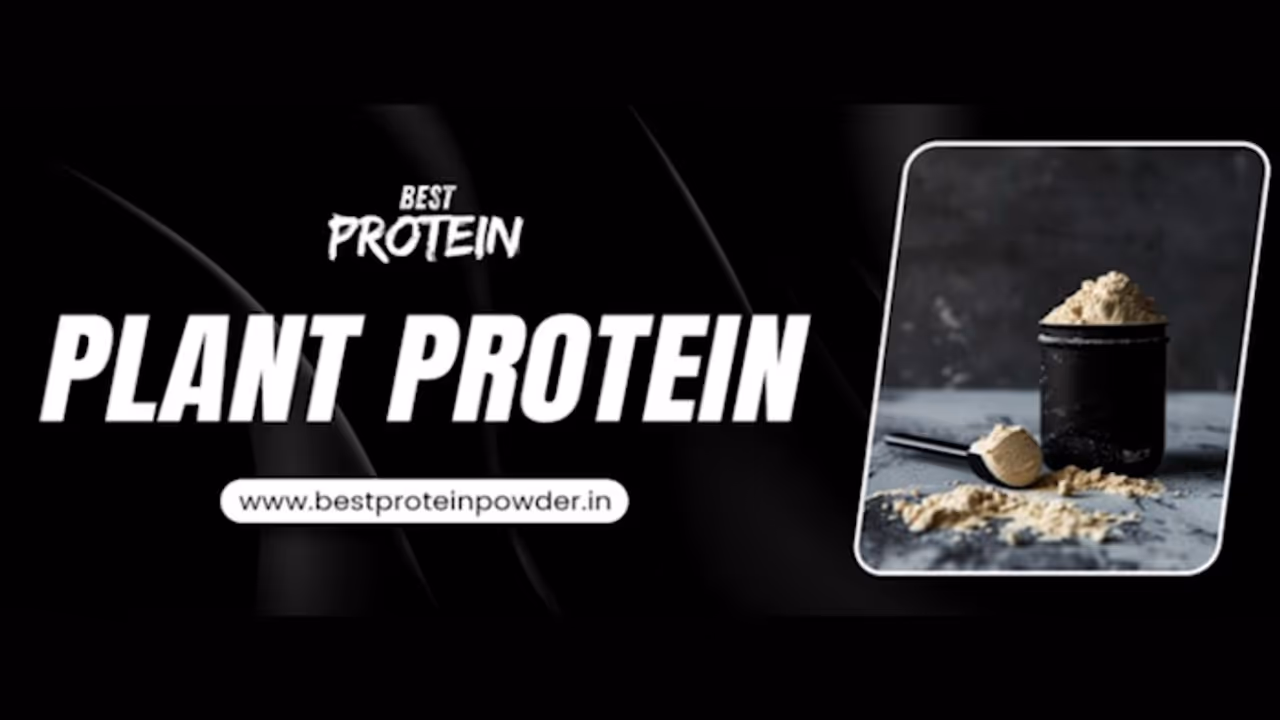 How Plant Protein Supports Weight Loss and Muscle Gain?
