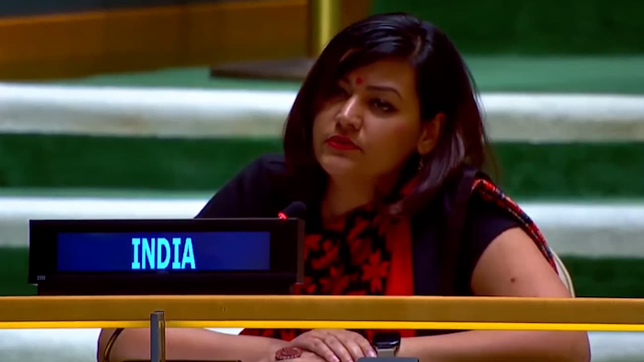 'Absurd Theatrics': Indian Diplomat Petal Gahlot on Shehbaz Sharif's UNGA Speech