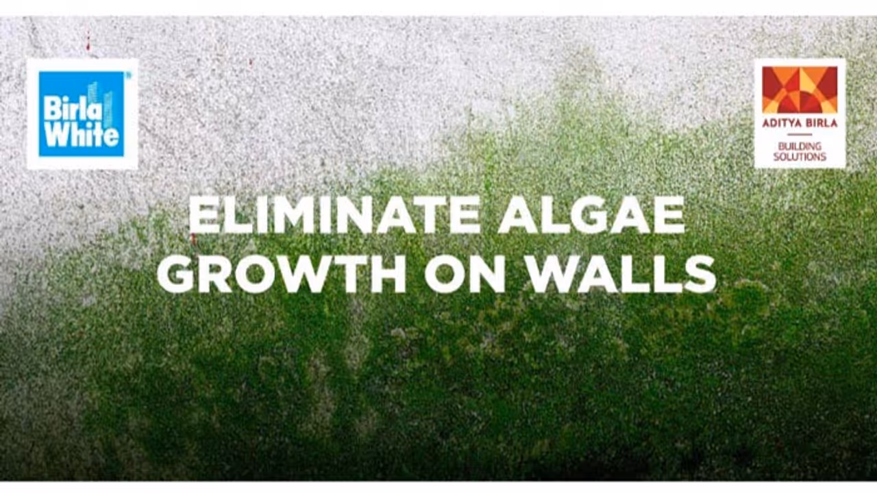 Birla White Birla White