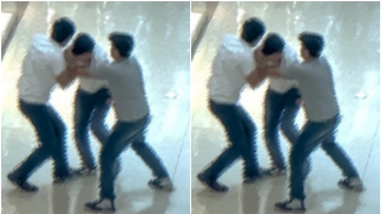 brawl in shopping mall brawl in shopping mall