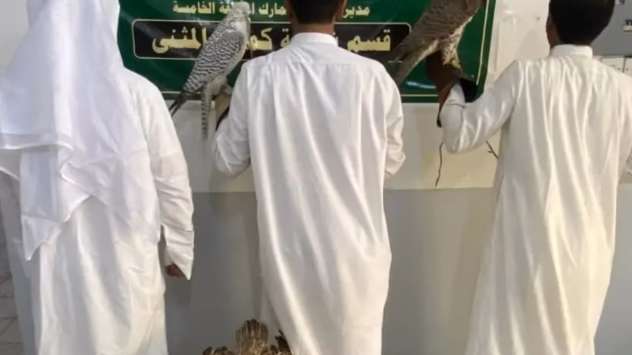 kuwait arrest kuwait arrest