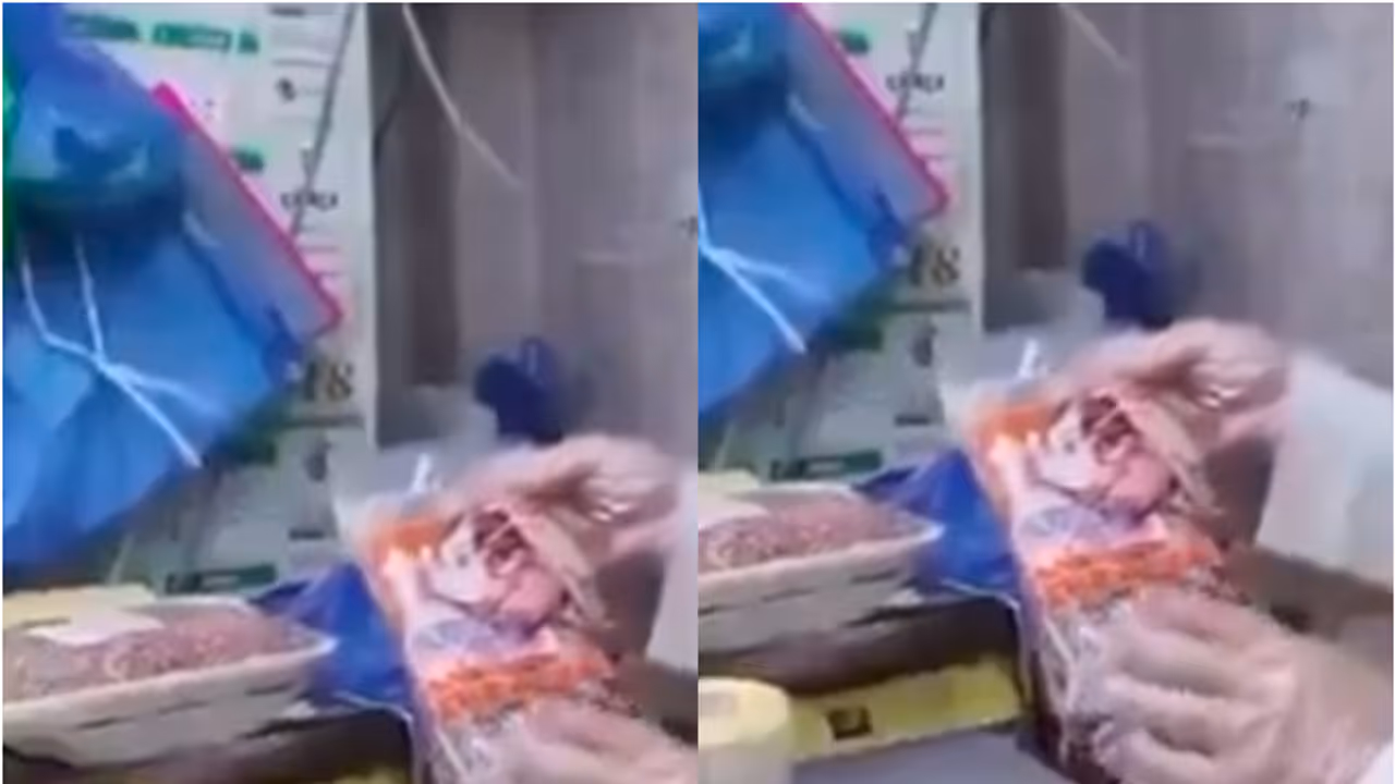 slaughtering slaughtering