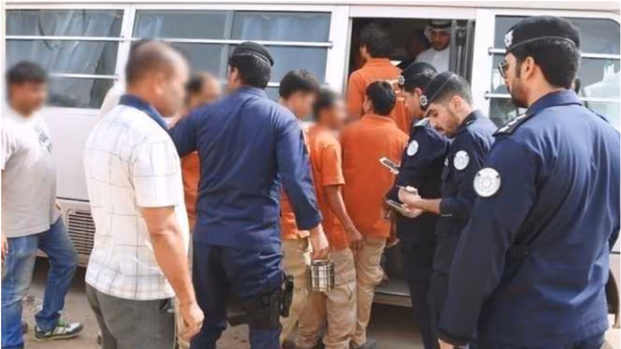 deportation deportation