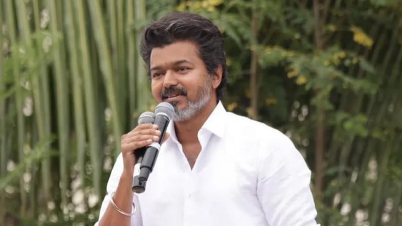 Vijay Vijay