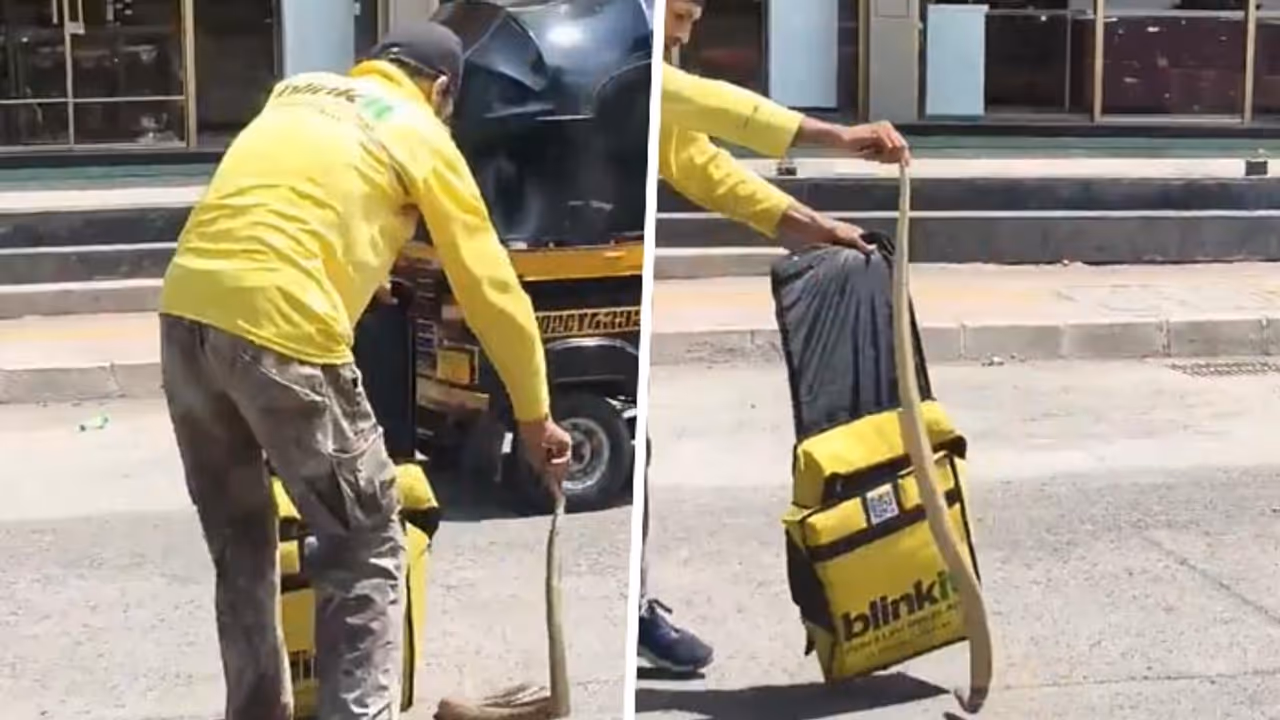 From Groceries to Reptiles? Viral Video Shows Blinkit Rider Casually Packing a Snake Into Delivery Bag (WATCH) From Groceries to Reptiles? Viral Video Shows Blinkit Rider Casually Packing a Snake Into Delivery Bag (WATCH)