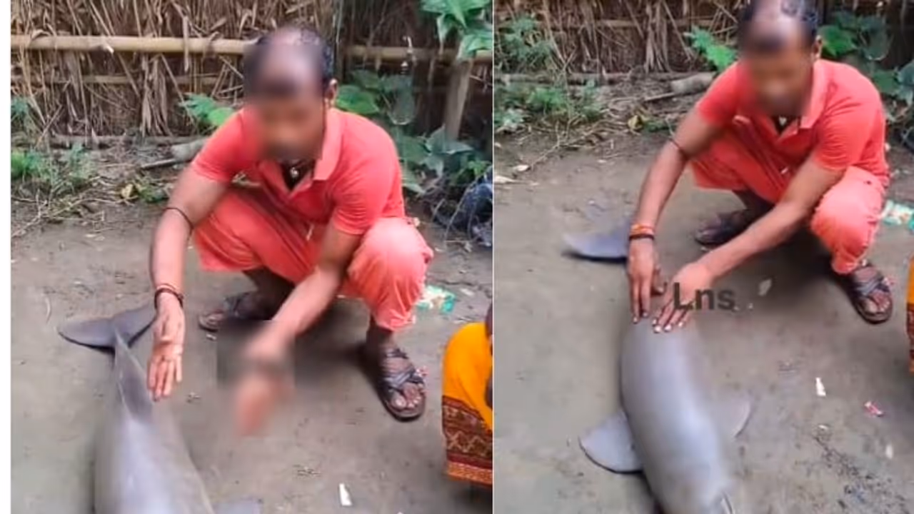 Man Ties Ganges River Dolphin to Bicycle, Makes Reel With It; Viral Video Sparks Outrage (WATCH) Man Ties Ganges River Dolphin to Bicycle, Makes Reel With It; Viral Video Sparks Outrage (WATCH)