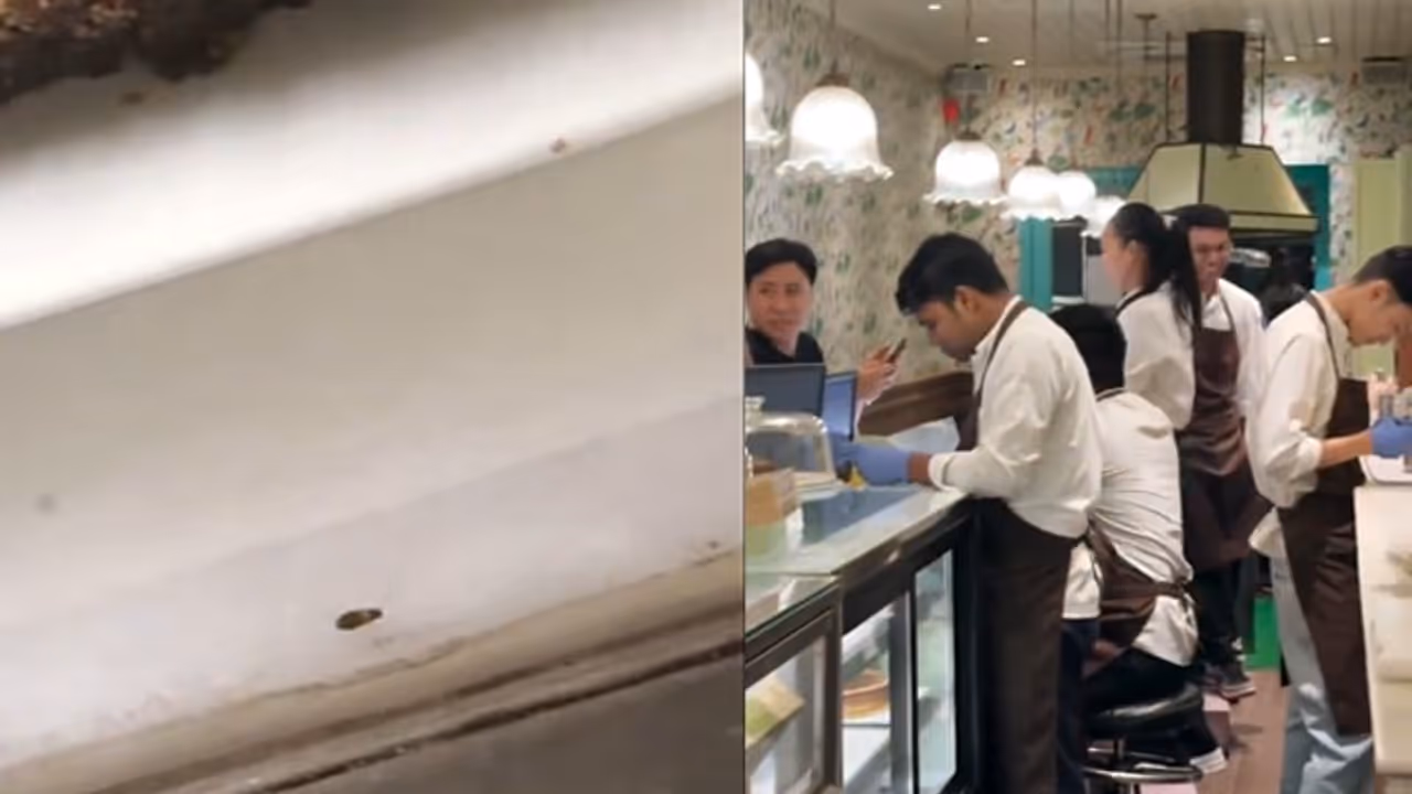 WATCH: Cockroach Spotted Near Brownies at Delhi’s Big Chill Cafe, Viral Video Sparks Outrage WATCH: Cockroach Spotted Near Brownies at Delhi’s Big Chill Cafe, Viral Video Sparks Outrage