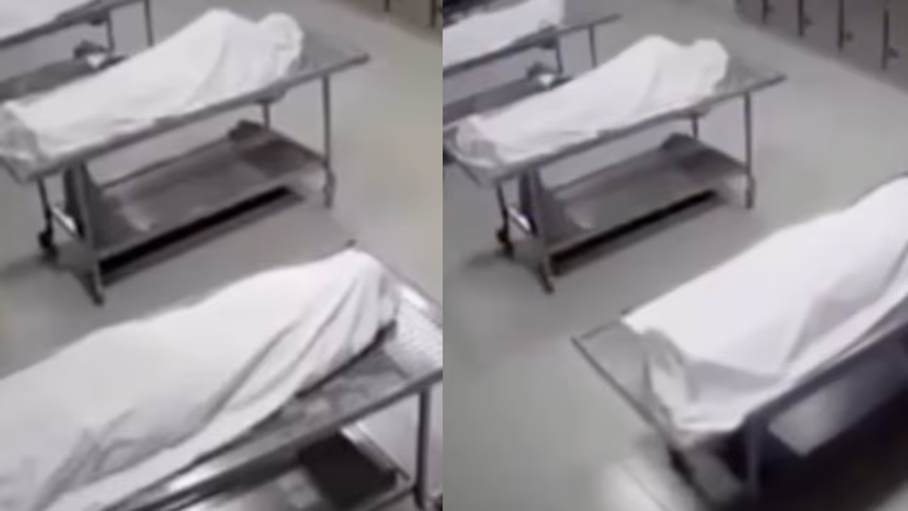 Fake or AI? Viral ‘Delhi AIIMS Morgue’ Video Is Not From India, But a Russian TV Show WATCH Fake or AI? Viral ‘Delhi AIIMS Morgue’ Video Is Not From India, But a Russian TV Show WATCH