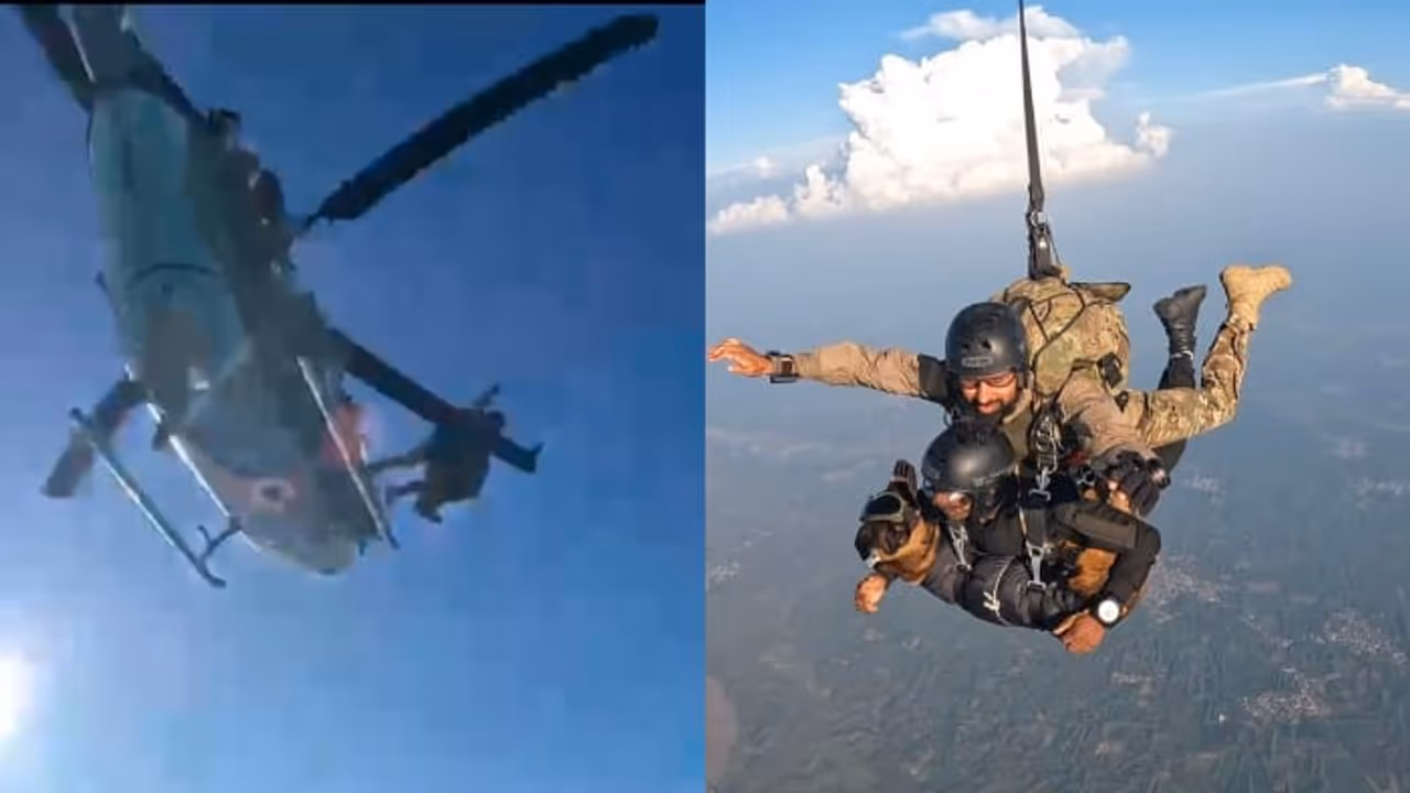 Viral Video: Indian Army Combat Dog Makes Tandem Parachute Jump With Handler (WATCH) Viral Video: Indian Army Combat Dog Makes Tandem Parachute Jump With Handler (WATCH)