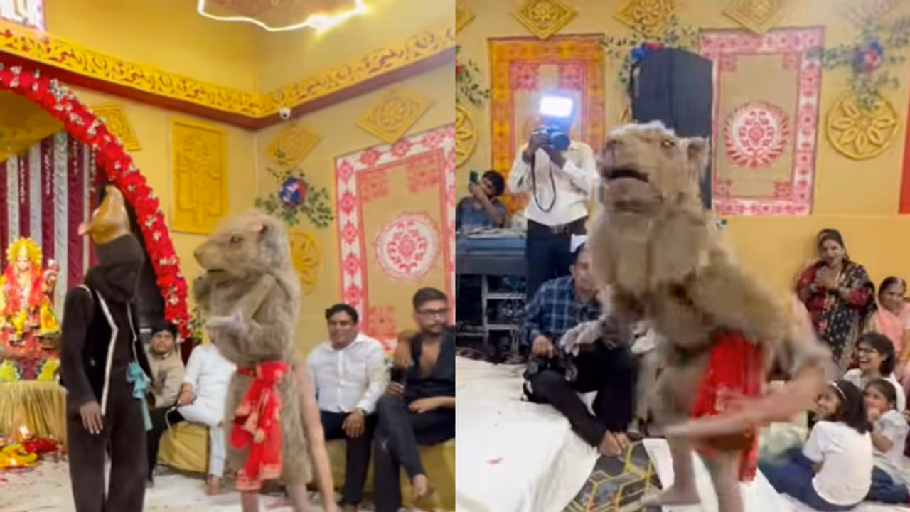 ‘Mazak Bana Rakha Hai’: Men in Mushak Costume Dancing at Ganpati Event Sparks Outrage VIRAL VIDEO ‘Mazak Bana Rakha Hai’: Men in Mushak Costume Dancing at Ganpati Event Sparks Outrage VIRAL VIDEO