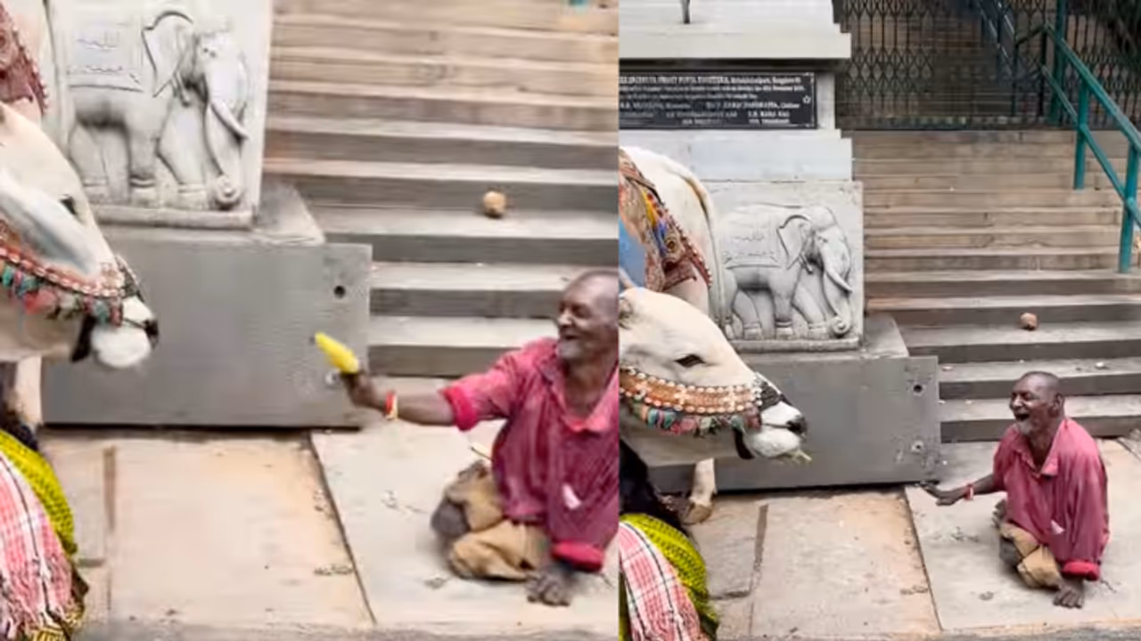 Homeless Disabled Man Shares His Only Banana With an Ox, His Kindness Wins Hearts Online — VIRAL VIDEO Homeless Disabled Man Shares His Only Banana With an Ox, His Kindness Wins Hearts Online — VIRAL VIDEO