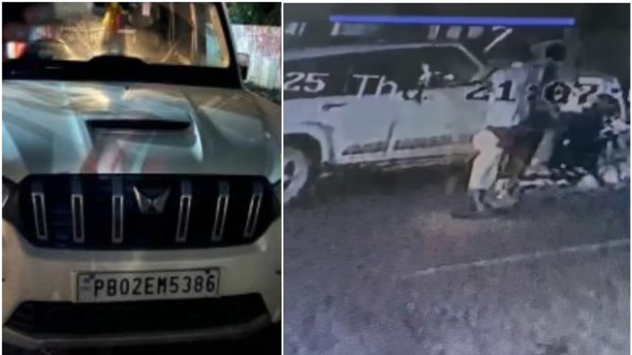 gangster mother killed gangster mother killed