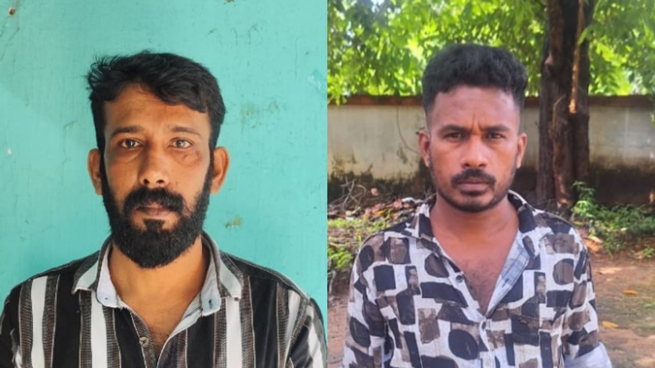 killing wild boar killing wild boar