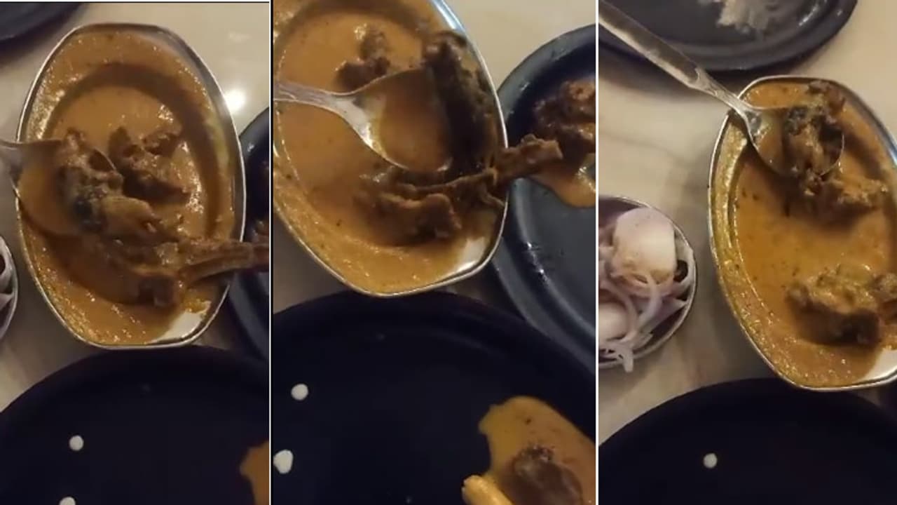 dead rat found in chicken curry in ludhiana dead rat found in chicken curry in ludhiana