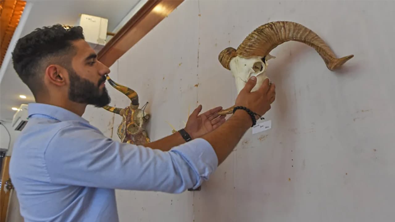 Who is the unique artist of Kashmir Aziz Ur Rehman 