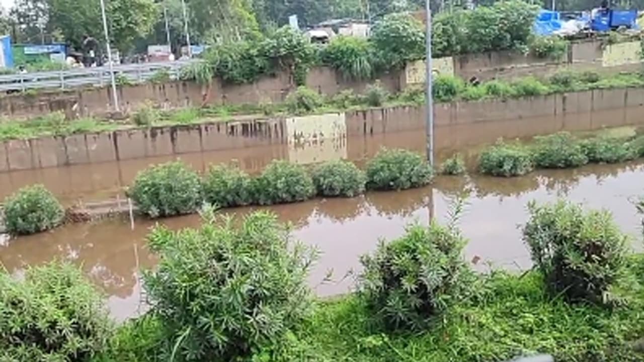 Monsoon Activities punjab Monsoon Activities punjab