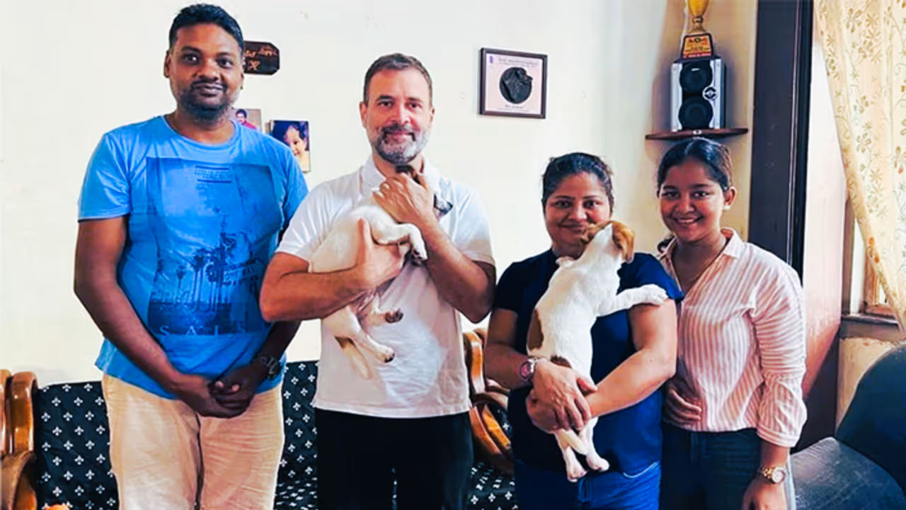 Rahul Gandhi brings home a puppy after Goa visit Rahul Gandhi brings home a puppy after Goa visit
