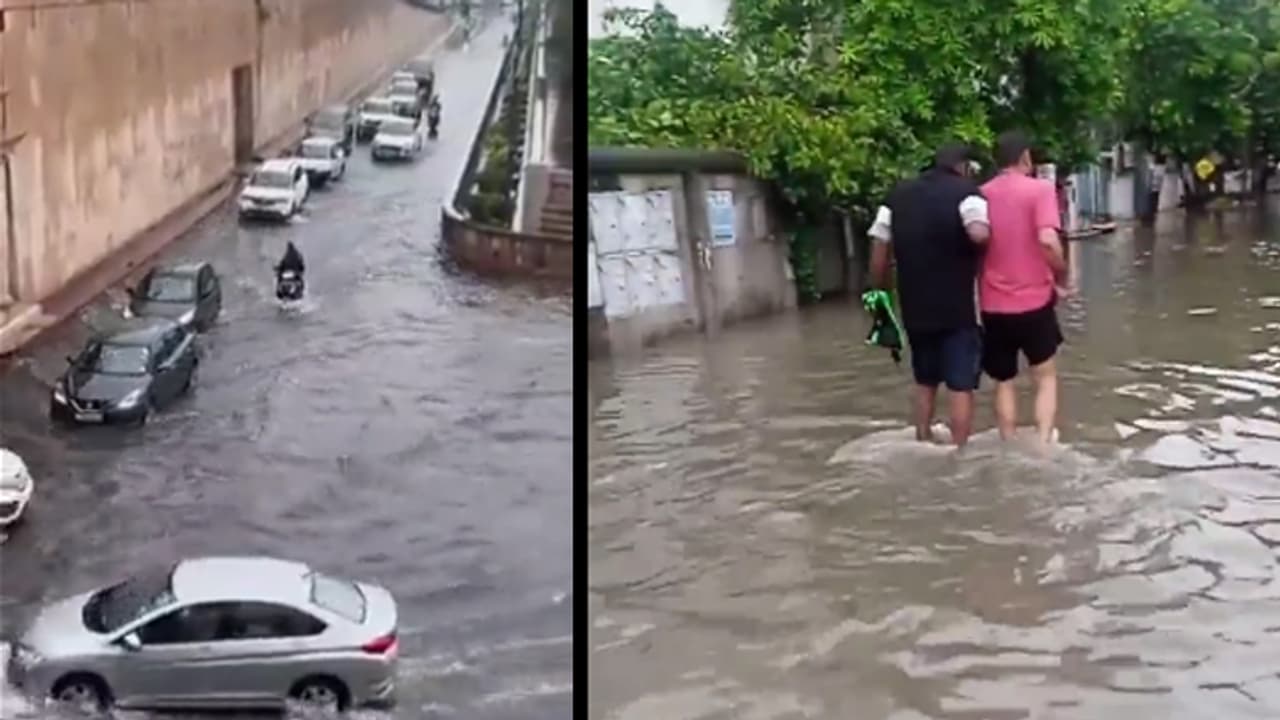 UP Weather Report UP Weather Report