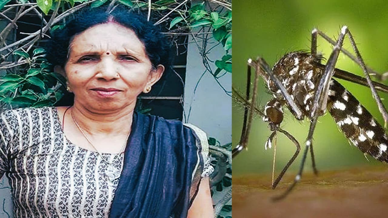 Aligarh News in Hindi Dengue Municipal Corporation Fine Aligarh News in Hindi Dengue Municipal Corporation Fine