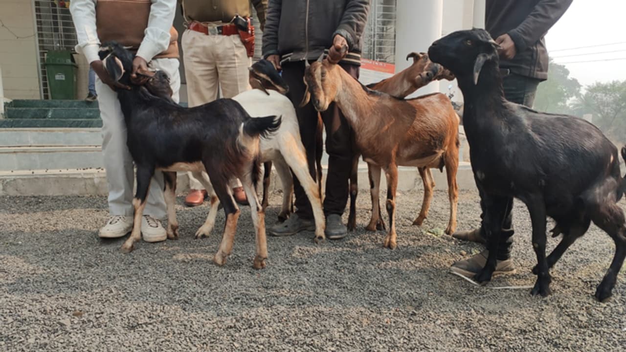 Kanpur Latest News Kanpur Latest News