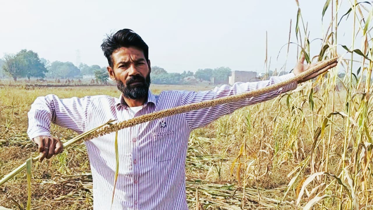 Aligarh farmer success story Aligarh farmer success story