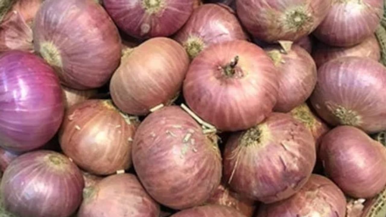 Onion Price Today Onion Price Today