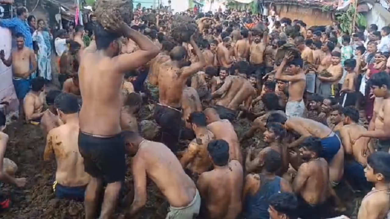cow dung festival