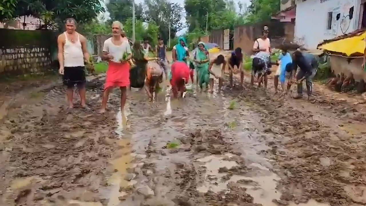 MP villagers plant paddy on road to protest government inaction