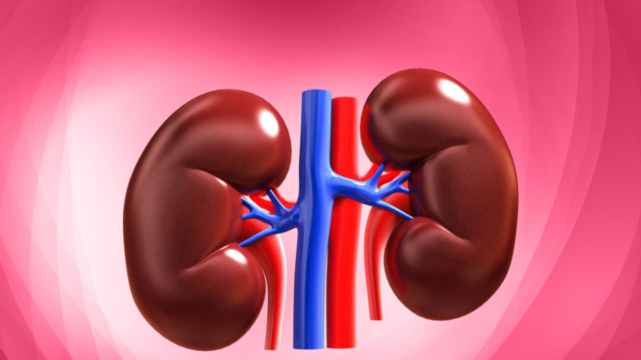 Kidney Failure
