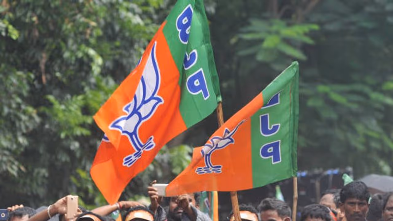 bjp flag bjp flag