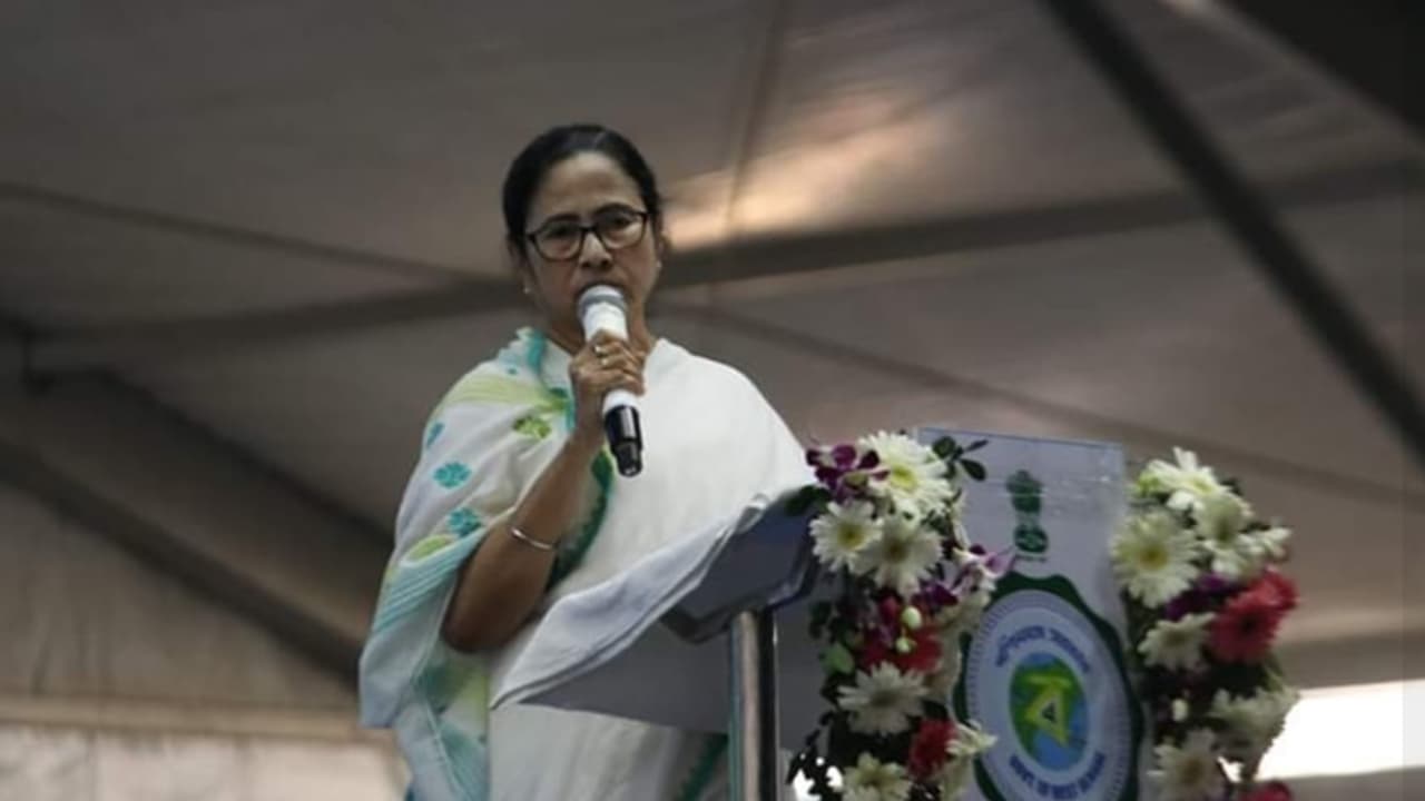 Mamta Banerjee Mamta Banerjee