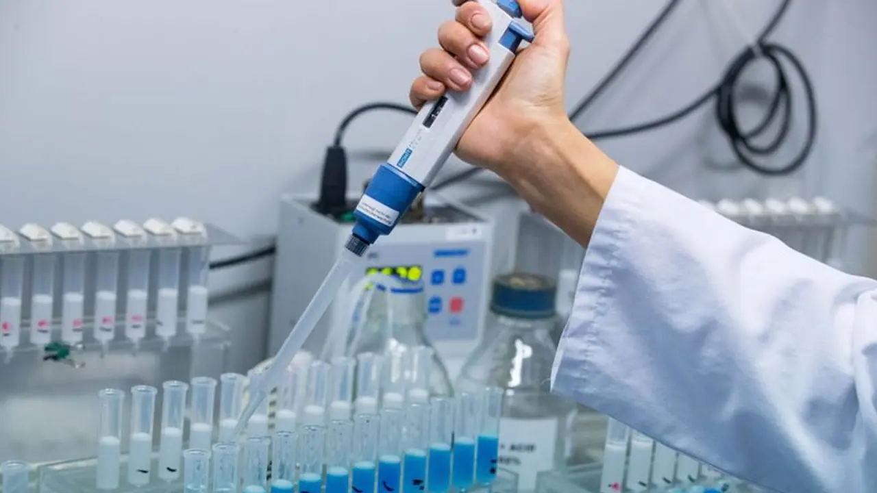 Scientists find new mutation of coronavirus that mirrors a change in the 2003 SARS virus kps Scientists find new mutation of coronavirus that mirrors a change in the 2003 SARS virus kps