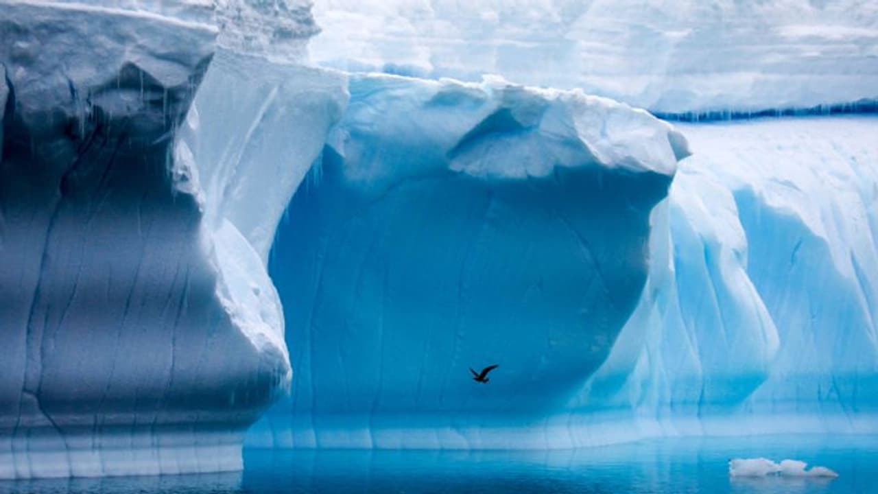 Antarctica's latest mega iceberg A74 Antarctica's latest mega iceberg A74