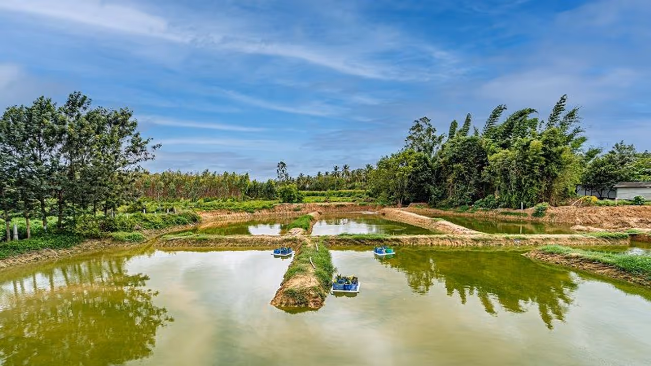 Bengaluru Lake Bengaluru Lake